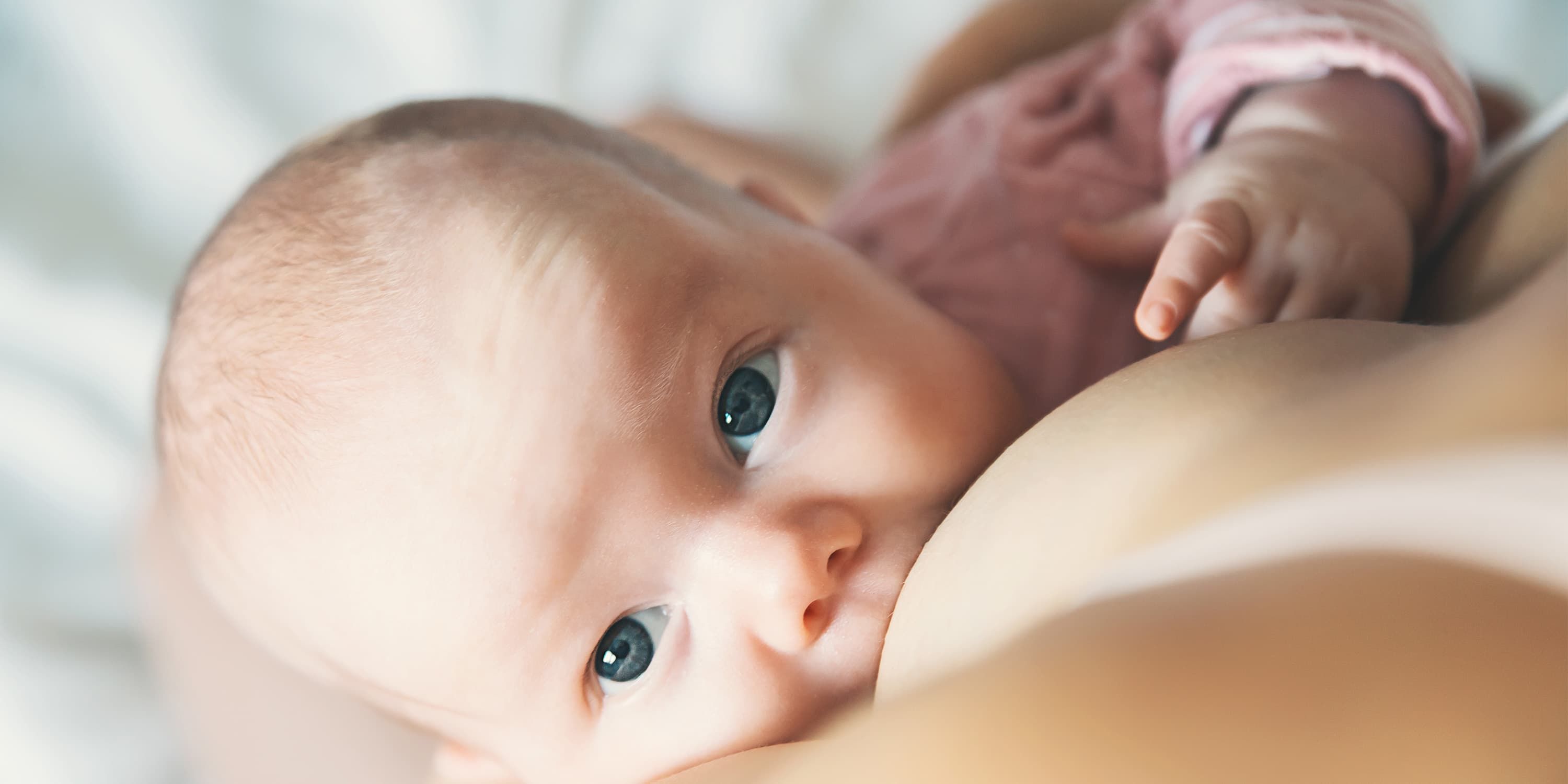 Close up, baby drinking at mother's breast